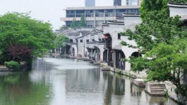 小僵尸射飞鸟